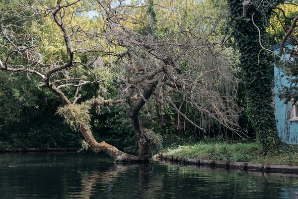 Psychothérapie pour adulte : le bon moment pour commencer