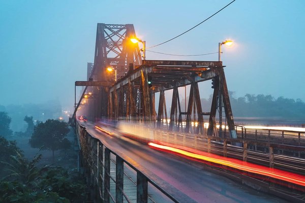 Quels sont les bienfaits de la plante harpagophytum sous forme de gélule ?