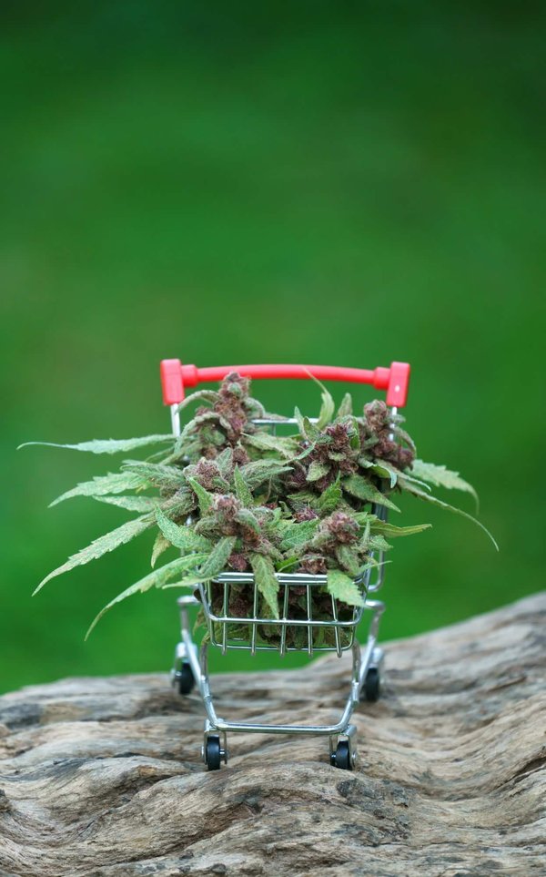 Quels sont les avantages d'utiliser un code promo TealerLab ?