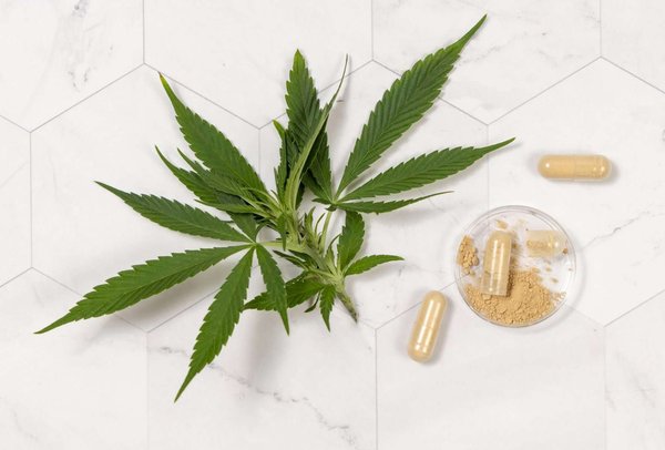 Avis trenorol crazybulk : révélation sur ses avantages pour les passionnés de musculation.