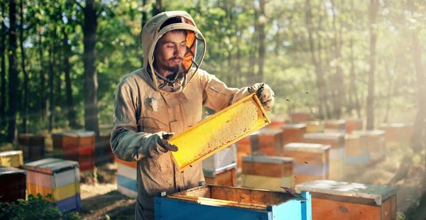 Découvrez les produits naturels authentiques de rucheorientale